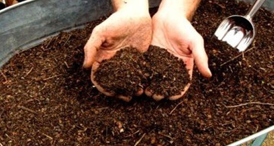cara membuat pupuk kompos
